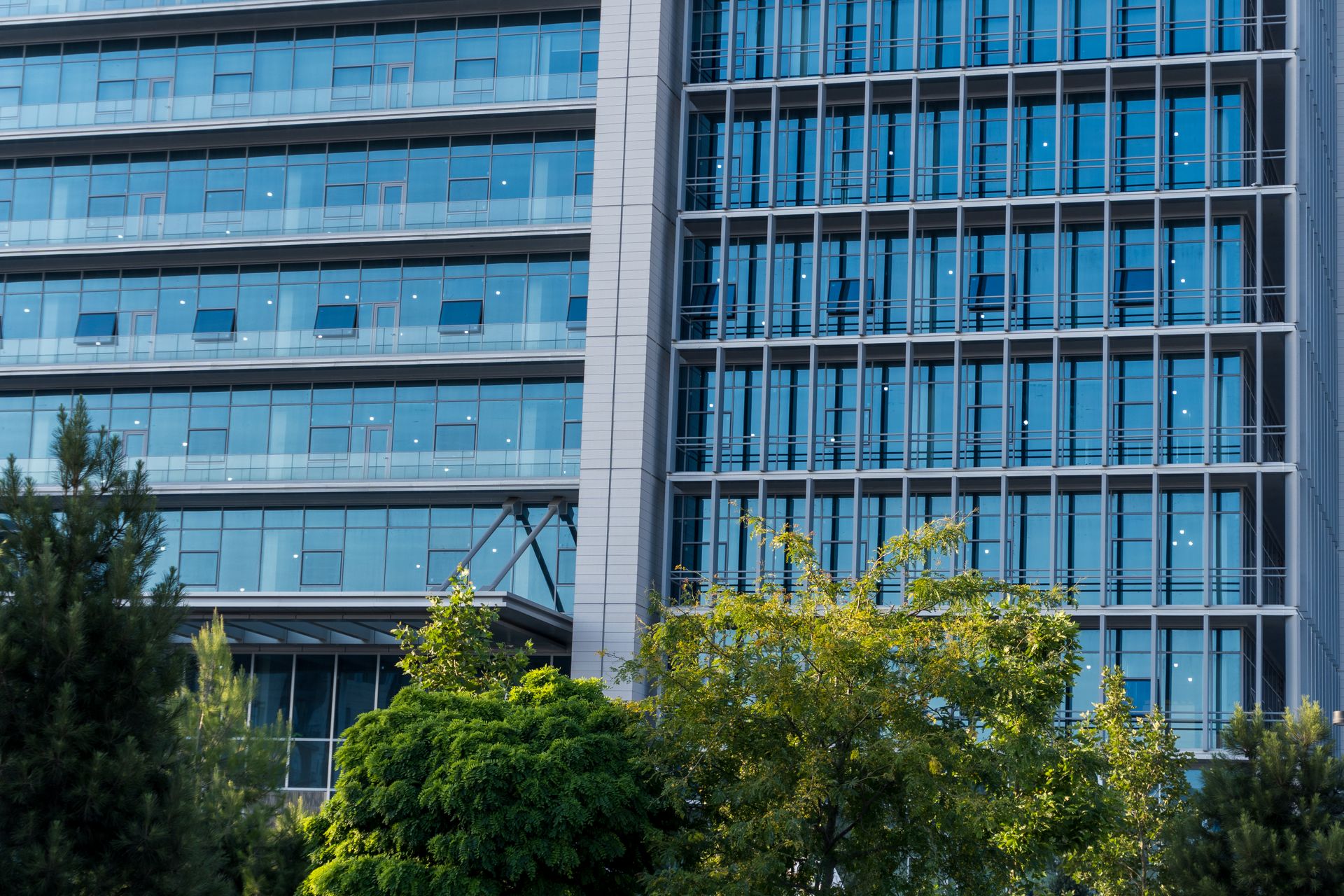 HRMS, India payroll and people projects